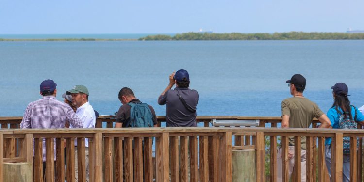 Fotomaratón en el Ecoparque, otro evento mundial importante de observación de aves migratorias en Barranquilla