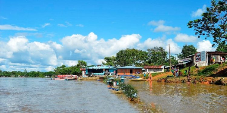 Alerta en el Bajo Atrato: grupos armados devastan ecosistemas y la Defensoría del Pueblo exige acción urgente