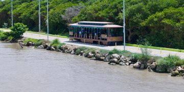 ¡Listo el tren de Las Flores! Pronto rodará hasta la playa de Puerto Mocho: alcalde Char