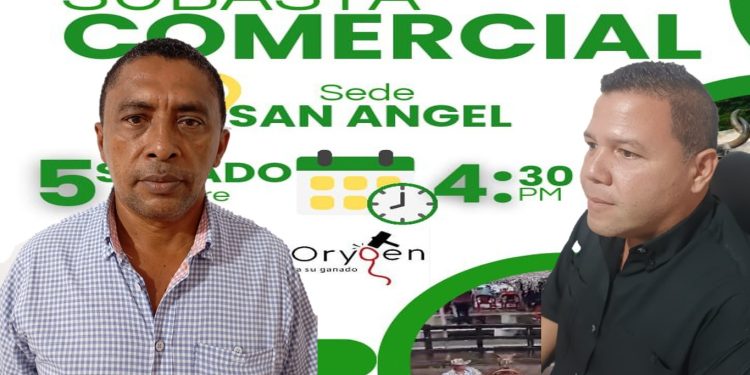 En Sabanas de San Ángel: Se realiza subasta ganadera