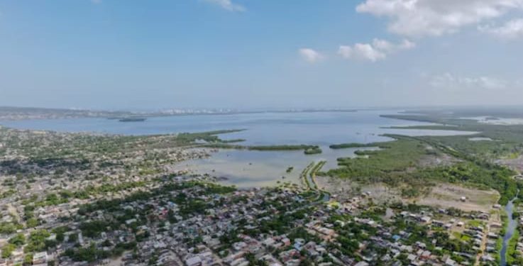 Procuraduría requirió al Gobierno información sobre la ejecución de medidas para proteger la ciénaga de La Virgen, en Cartagena