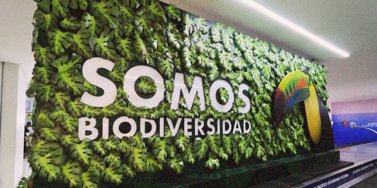 Estamos comprometidos con la protección de la naturaleza – COP 16 2024