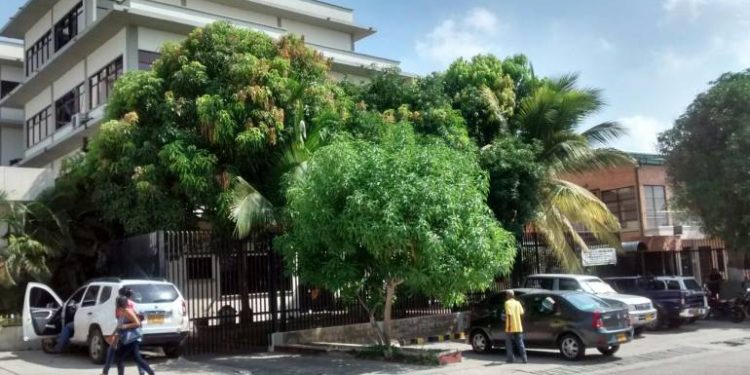 Hallan sin vida a joven beisbolista en trocha de Repelón