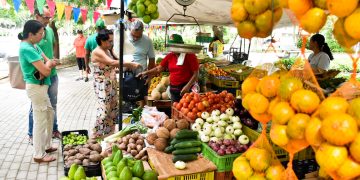 De las cocinas de tradición a protagonistas en televisión internacional 