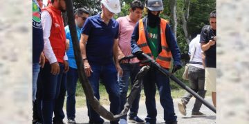 Plan vial para el Caribe: Eduardo Verano de la Rosa ​​​