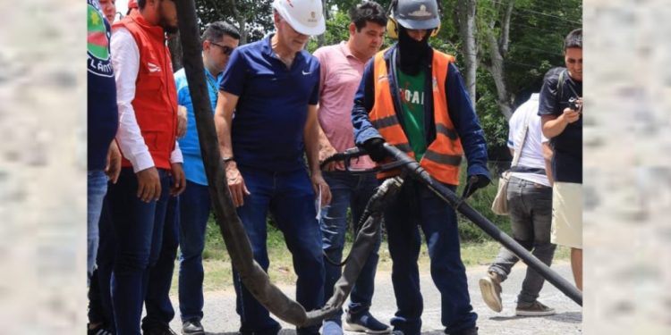 Plan vial para el Caribe: Eduardo Verano de la Rosa 