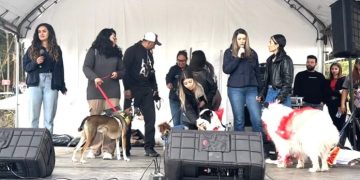 Las mascotas fueron las protagonistas: Más de 700 perros participaron de la jornada social en la Catedral de Sal de Zipaquirá