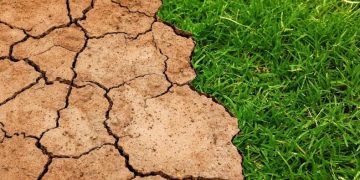 Temperatura del planeta superó en 1,54º el nivel de referencia en los primeros 9 meses del año