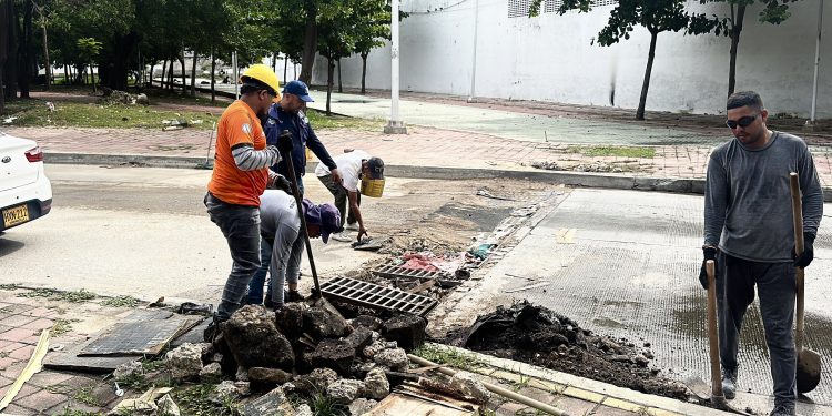 Distrito continúa limpieza y mantenimiento del sistema de drenaje de aguas lluvias