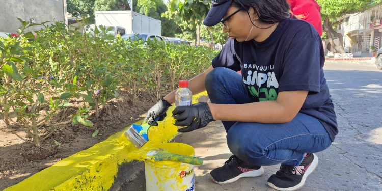 Distrito cierra el 2024 con 22 puntos críticos recuperados para que Barranquilla luzca más limpia y linda
