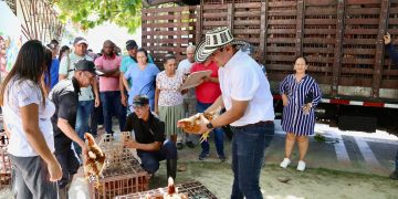 ‘Las Ponedoras del Atlántico’, proyecto que apunta al desarrollo de emprendimientos avícolas