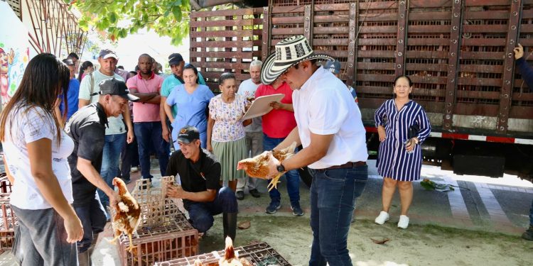 ‘Las Ponedoras del Atlántico’, proyecto que apunta al desarrollo de emprendimientos avícolas