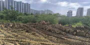 Obras de urbanismo en Alameda del Río no están suspendidas, no existe sanción a la constructora Amarilo