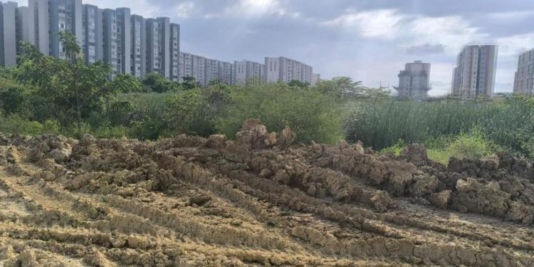 Obras de urbanismo en Alameda del Río no están suspendidas, no existe sanción a la constructora Amarilo