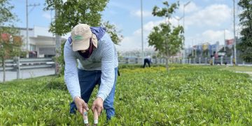 Barranquilla recibe sello verde por su compromiso con el cambio climático