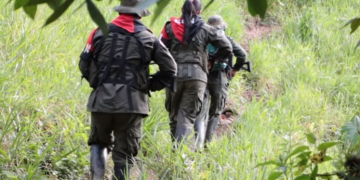 Eln secuestra a 20 personas en el corregimiento de Aserrío, en Teorama, Norte de Santander