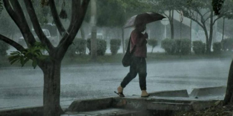 Distrito emite recomendaciones por temporada de fuertes vientos