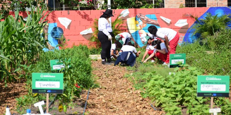 Barranquilla, ejemplo de formación ambiental para los ciudadanos