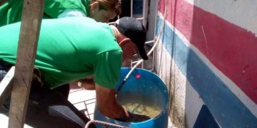 Barranquilla y Atlántico enfrentan alta transmisión de dengue, alerta el INS