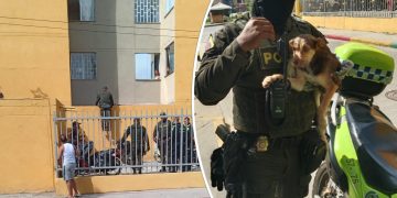 Rescate de un perro en estado crítico tras ser abandonado en Soledad, Atlántico