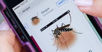 Lanzan una app innovadora para combatir la propagación del dengue