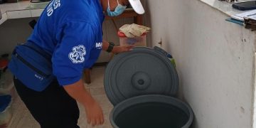 Distrito recomienda tomar medidas preventivas contra el mosquito transmisor del dengue