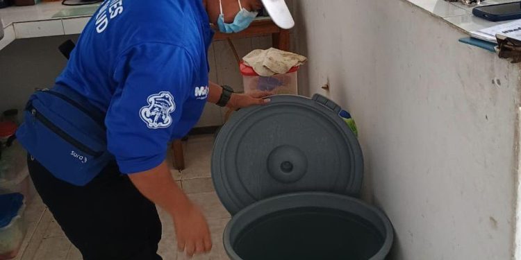 Distrito recomienda tomar medidas preventivas contra el mosquito transmisor del dengue