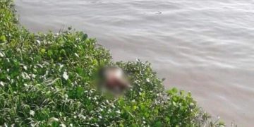 Hallan cuerpo de hombre flotando en el Río Magdalena: tercer caso en 20 días