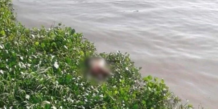 Hallan cuerpo de hombre flotando en el Río Magdalena: tercer caso en 20 días