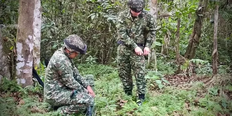 Minas antipersonal fueron destruidas cerca de una vía veredal en el Meta