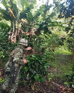 Ejército Nacional neutraliza artefactos explosivos a menos de 200 metros de la vía Panamericana en Nariño