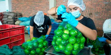 Producción agropecuaria, financiamiento, abastecimiento de alimentos y prevenir el despojo, medidas clave del sector agro en el Catatumbo