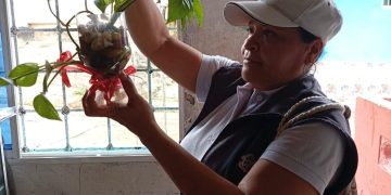 Distrito reitera llamado a erradicación de criaderos de mosquitos y recuerda que la fumigación no es la solución definitiva al dengue