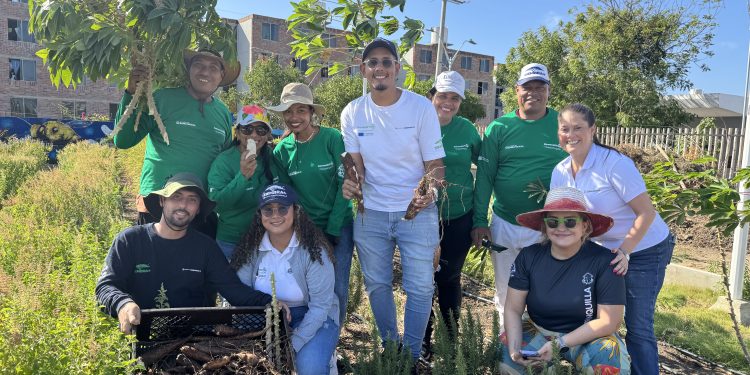 Huerta comunitaria de Las Gardenias: se han cosechado 200 kilogramos de productos