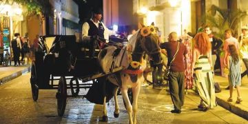 Procuraduría revisa avances en el cumplimiento de la sentencia que protege a los caballos cocheros en Cartagena