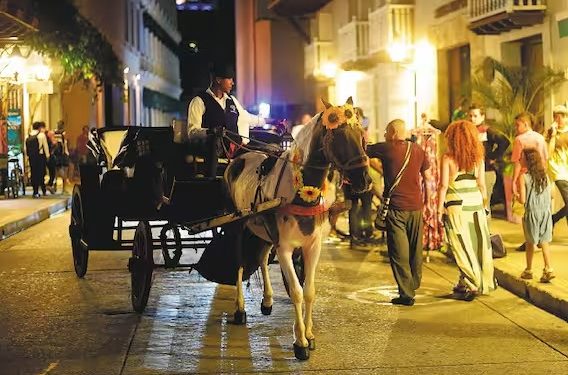 Procuraduría revisa avances en el cumplimiento de la sentencia que protege a los caballos cocheros en Cartagena