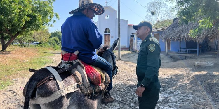 El renacer de El Salado