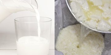 SIC impone millonaria sanción a cuatro marcas de leche por uso indebido de lactosuero