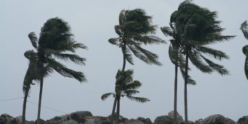 Ráfagas de viento podrían superar esta noche los 64 km/h en Barranquilla