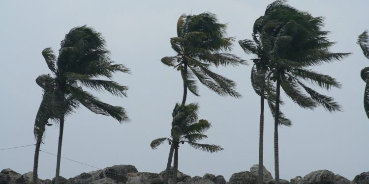 Ráfagas de viento podrían superar esta noche los 64 km/h en Barranquilla