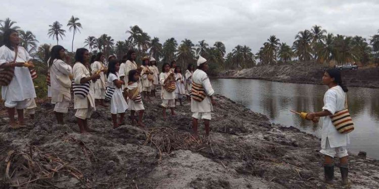 Procuraduría alerta por conflicto entre indígenas Kogui de Magdalena y La Guajira y pide a las autoridades mediación urgente
