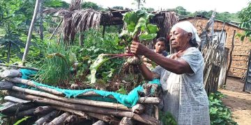 La Guajira avanza: proyecto clave en el Día Mundial del Agua para restaurar ecosistemas y asegurar la seguridad alimentaria