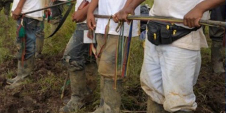 Procuraduría promueve comité para evaluar riesgos de líderes indígenas en Tumaco