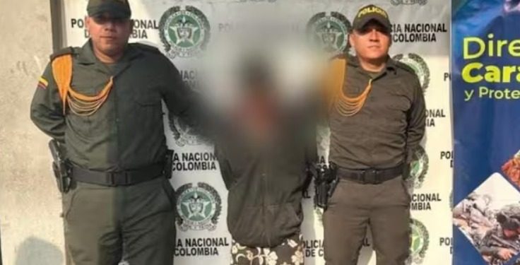 Decomisan 65 hicoteas que iban a ser vendidas ilegalmente en Magangué