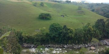 Masacre en Andes, Antioquia: Cuatro trabajadores fueron asesinados en una finca cafetera