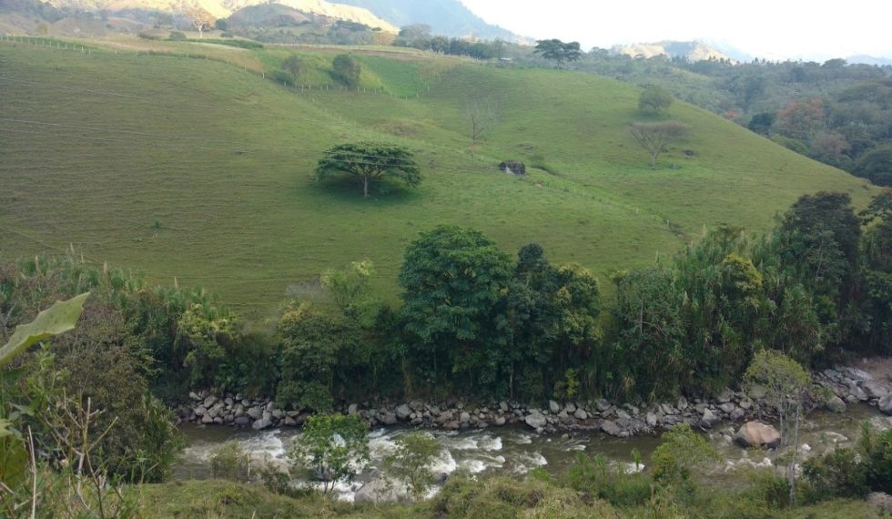 Masacre en Andes, Antioquia: Cuatro trabajadores fueron asesinados en una finca cafetera