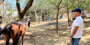 Equinos rescatados por el Distrito, listos para ser adoptados por familias que les brinden amor