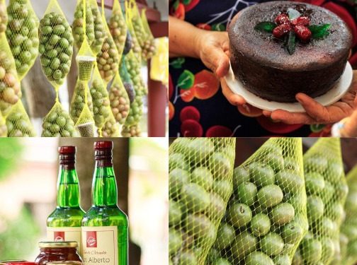 ¡Campeche te espera en el 37º Festival de la Ciruela!