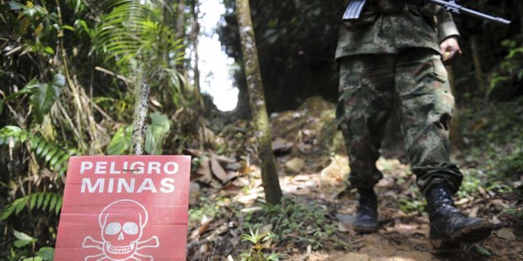 Hallan 600 minas antipersona ocultas por disidencias en el Meta