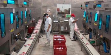 Supersolidaria interviene Coolechera para garantizar su estabilidad